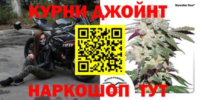 спиды Краснодар