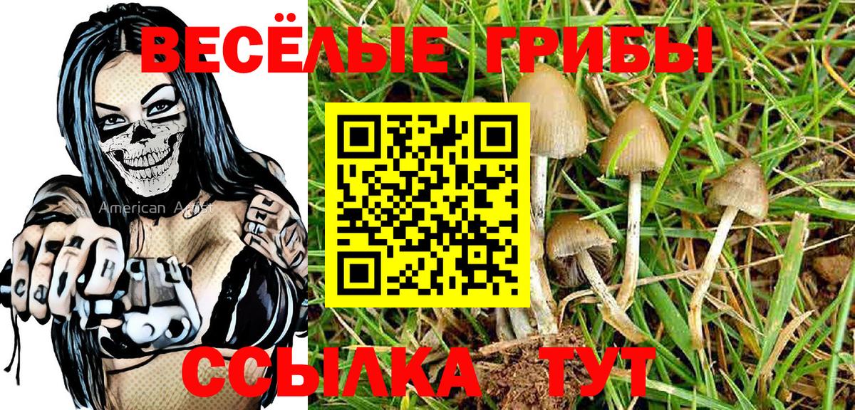 Галлюциногенные грибы Magic Shrooms  Вход с VPN  Донецк  Псилоцибиновые грибы Psilocybine cubensis 