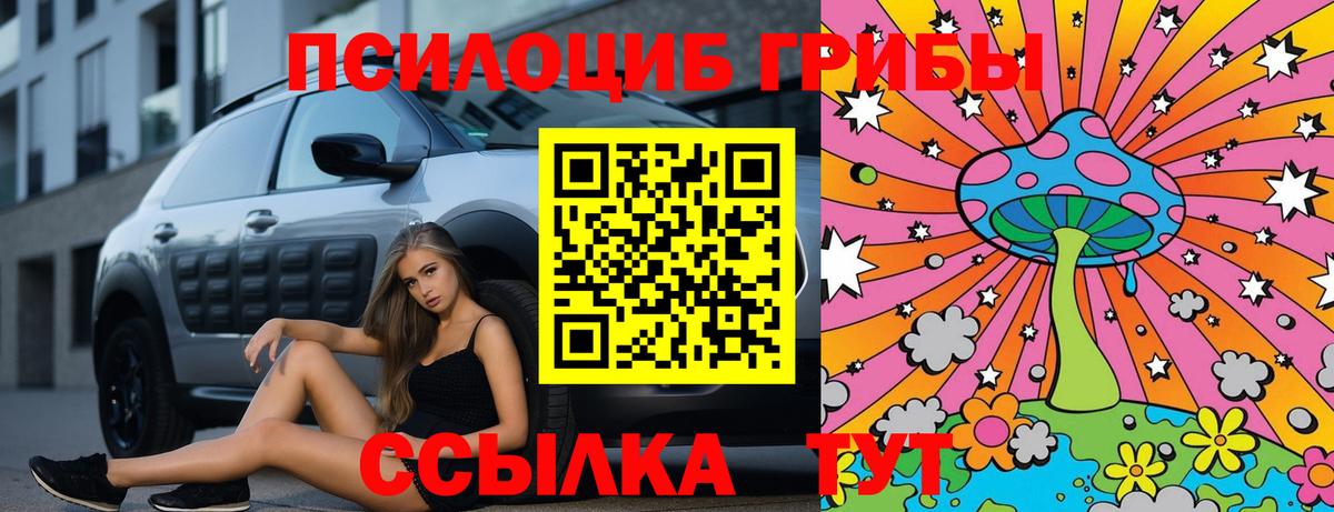 Псилоцибиновые грибы прущие грибы Донецк